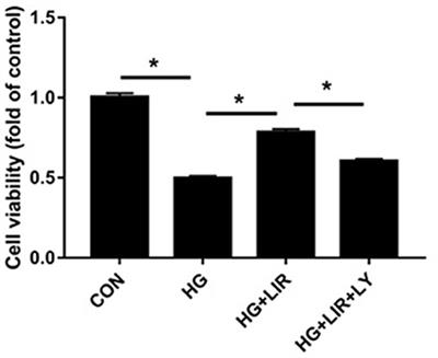 Liraglutide Protects Nucleus Pulposus Cells Against High-Glucose Induced Apoptosis by Activating PI3K/Akt/ mTOR/Caspase-3 and PI3K/Akt/GSK3β/Caspase-3 Signaling Pathways